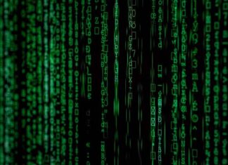 Którą wersję Magento wybrać dla sklepu internetowego