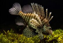 Jak człowiek wpływa na ekosystem?