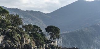 Ile kosztuje prawo jazdy na czarnym rynku?