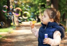 Jakie banki prowadzą PPK?