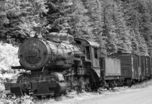 Do kogo skierowany jest PR zewnętrzny?